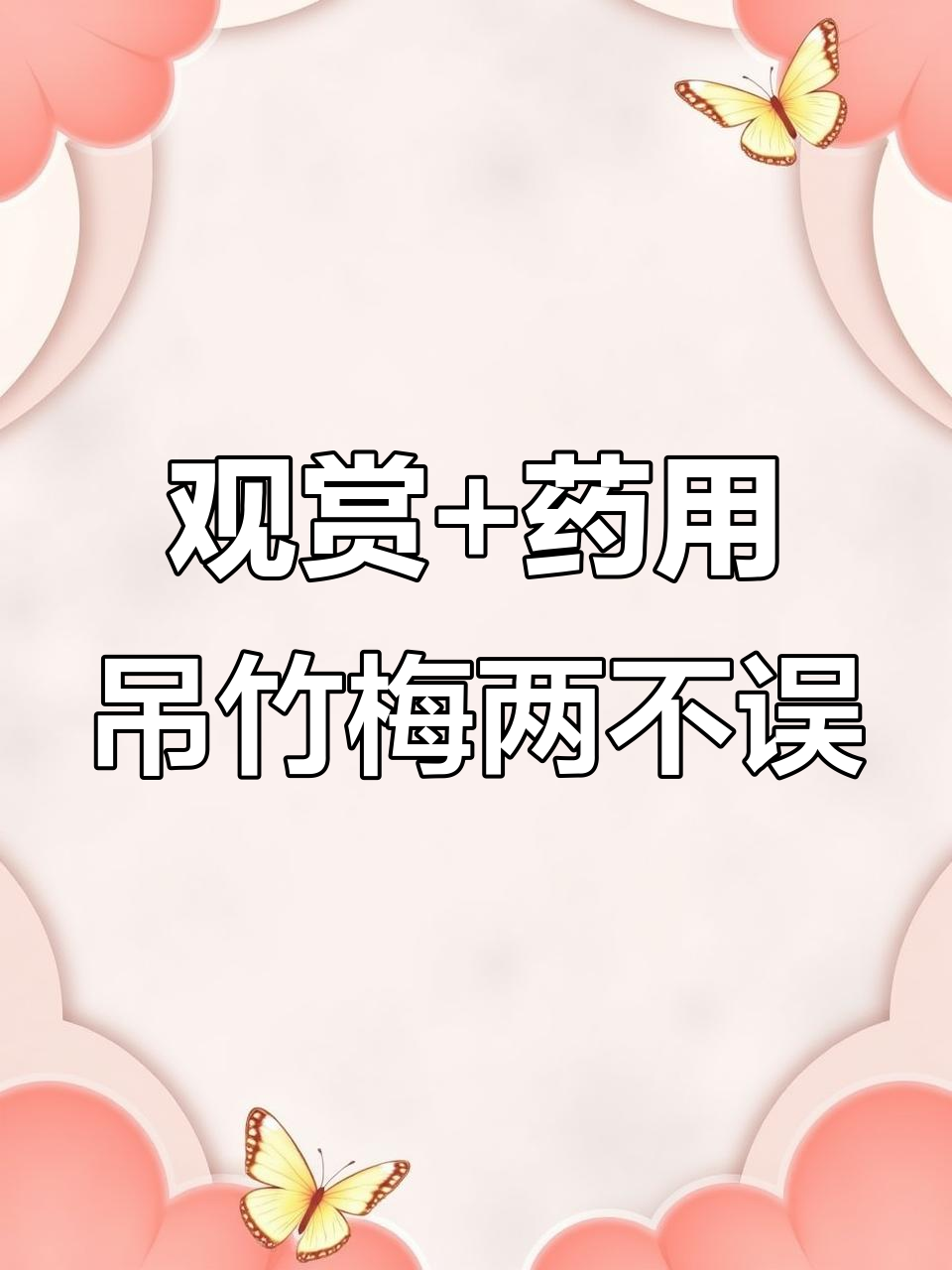 吊竹梅:既美观又具清热解毒功效,家中养一盆超值!