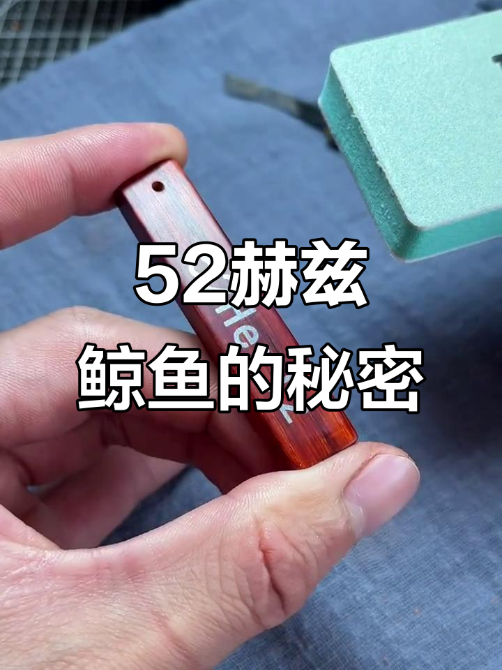 五十二赫兹鲸鱼：孤独的频率与寻找同类的故事