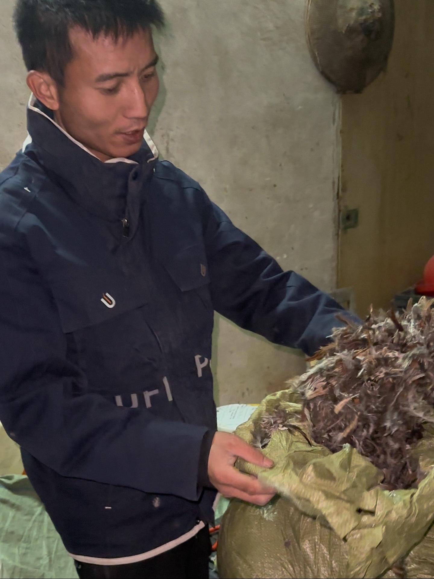 这天气拿我们当凉菜呢,凉了热热了凉 收野鸡毛 农村生活 原创视频 抖音记录农村生活 诚信经