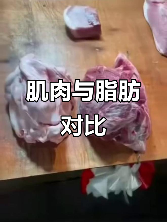 同样重量,脂肪体积大几倍;肌肉更紧实