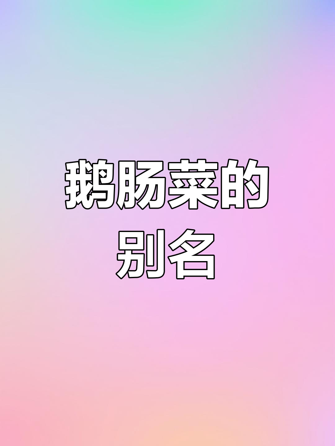 鹅肠菜,美丽又独特,你家乡怎么称呼它?