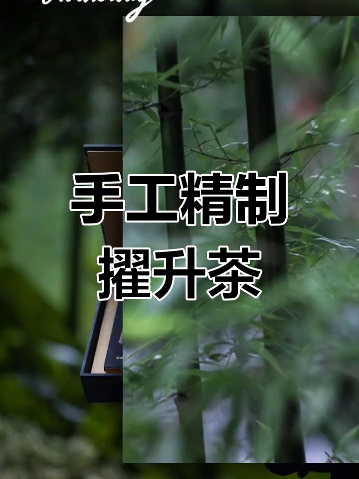 擢升肉桂:匠心制作,九龙窠的独特风味