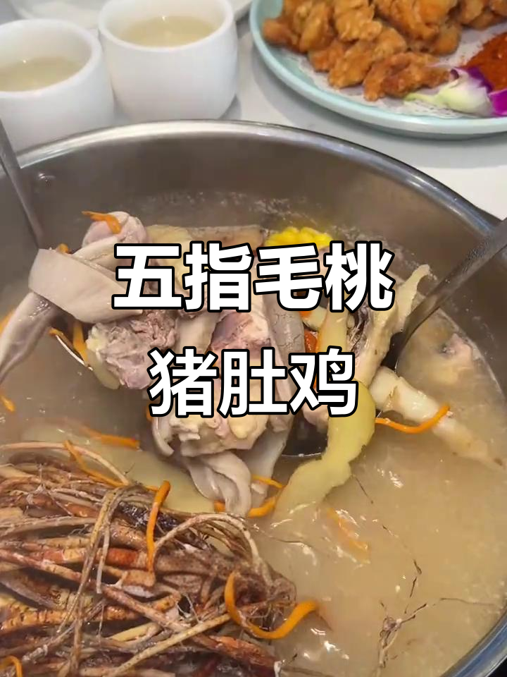 广州这家猪肚鸡,五指毛桃锅底太惊艳了!