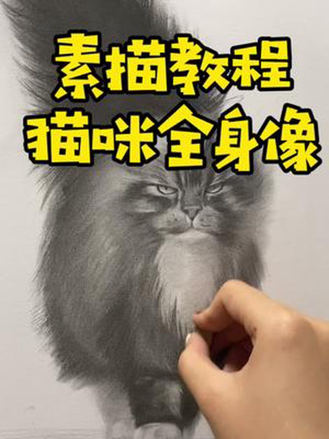 猫咪头像是不是画腻了?来个全身像的新鲜一下