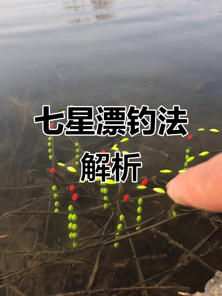 七星漂搭配技巧大揭秘,如何选择最适合的鱼线组合