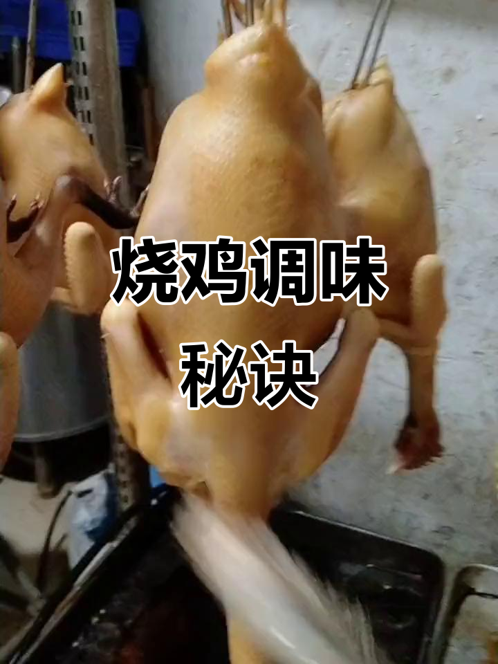 烧鸡调料秘方:多种香料混合,味道独特浓郁
