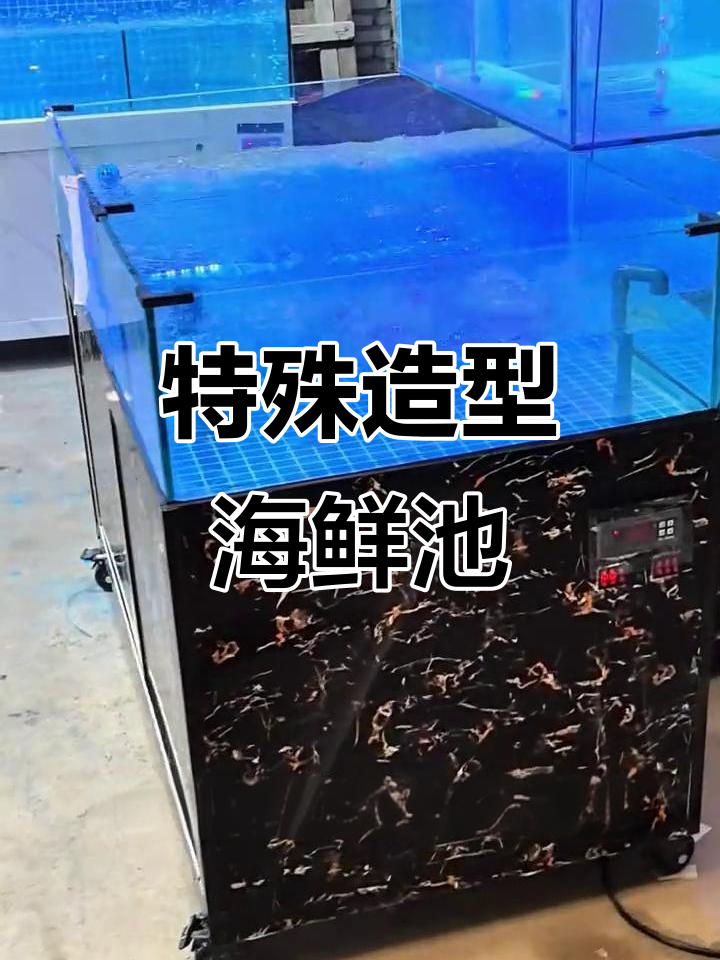 异型海鲜鱼缸设计,独特造型让你惊艳