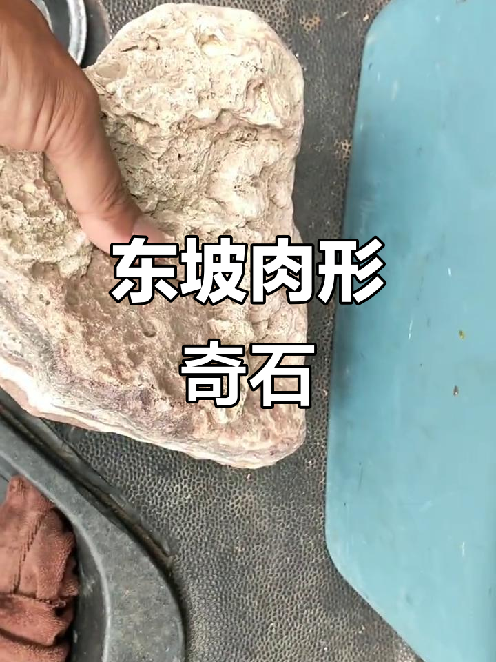 台北故宫的东坡肉石,竟然被我找到了!这块石头太神奇了