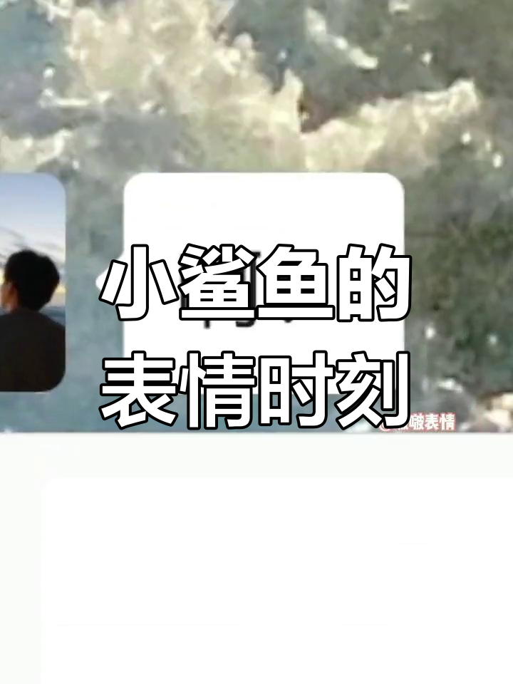 雪花梅花与表情包