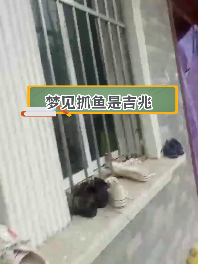梦到抓鱼,财运来临