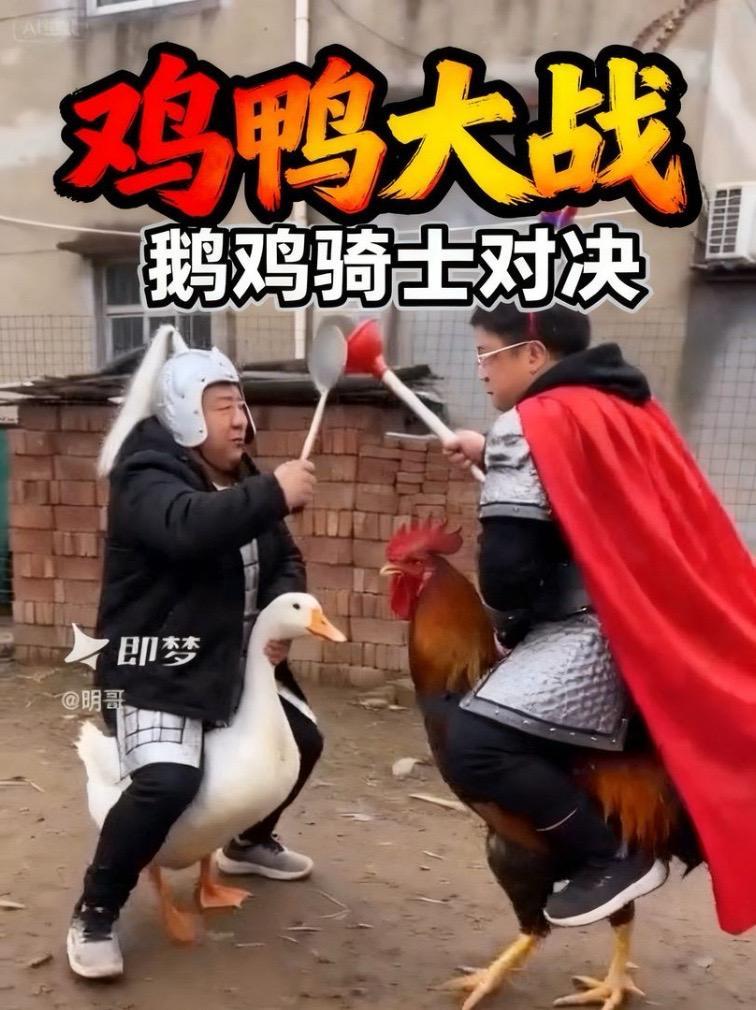 #大鹅不好惹 #大鹅之战 #大鹅扛枪 #骑鹅