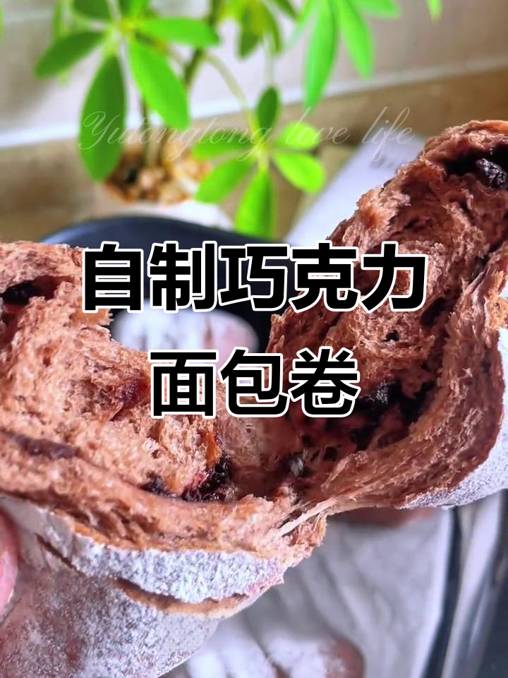零厨机也能做!巧克力面包卷,松软又美味