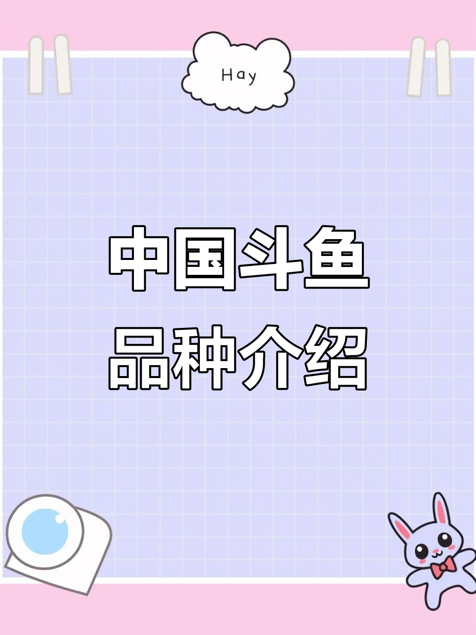 冷水观赏鱼推荐:中国斗鱼品种全解析,蓝白系小型易养
