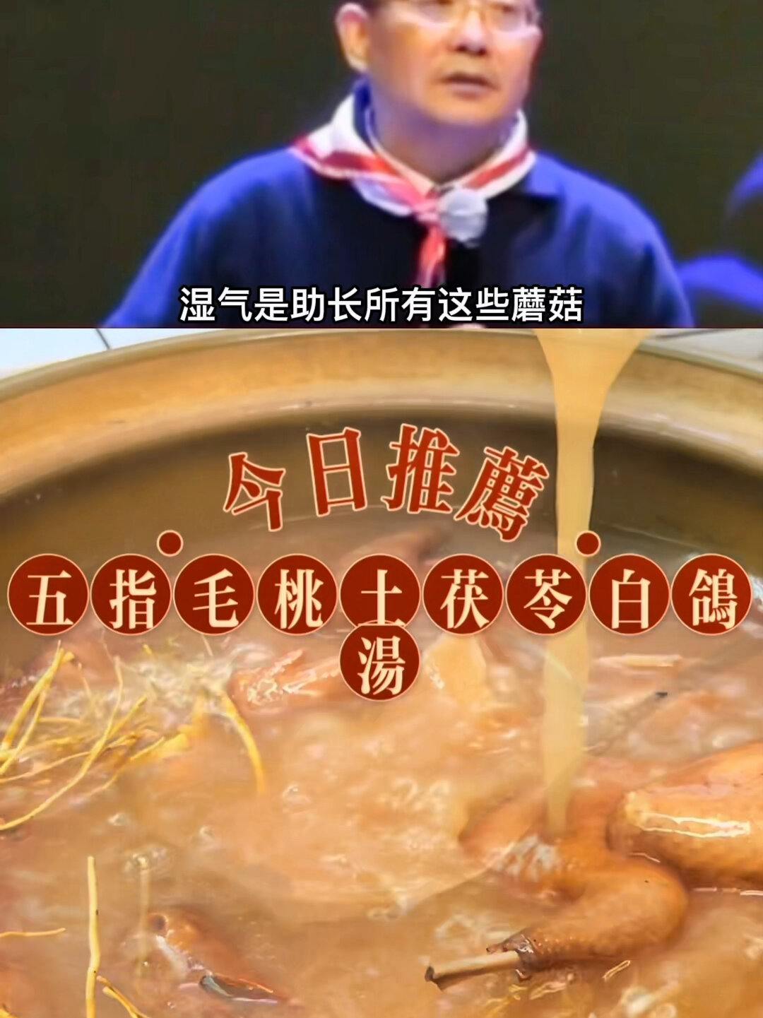 五指毛桃土茯苓白鸽汤