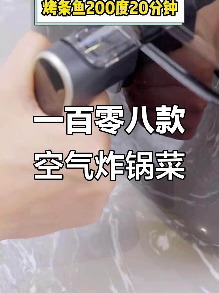 空气炸锅108道美食,烤出完美脆皮五花肉和香嫩玉米