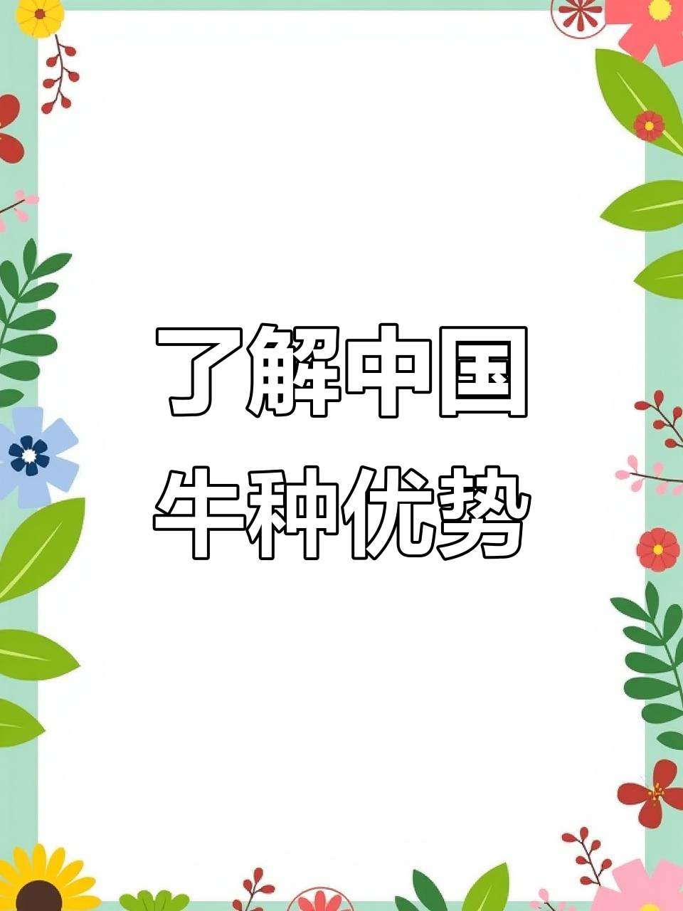 中国各地牛肉品种大揭秘,哪种最适合你?
