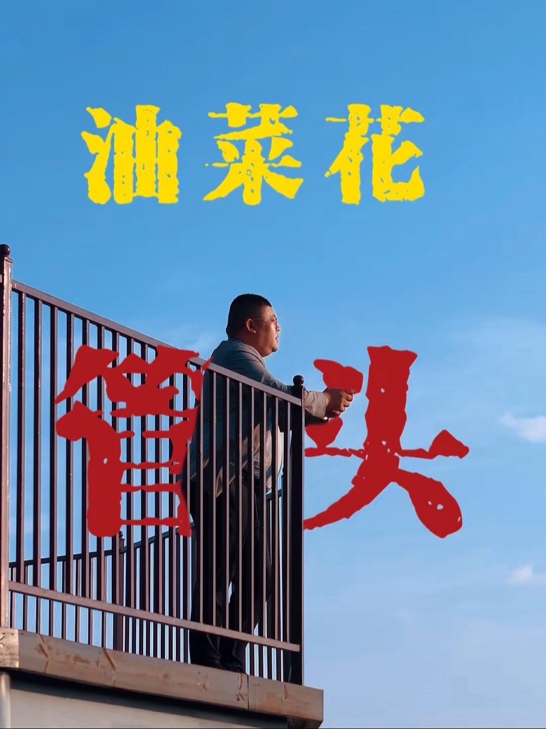 周末带着孩子来乡宁管头油菜花基地,适合孩子打卡拍照,不过得要我上去给你找角度才能拍的好看点