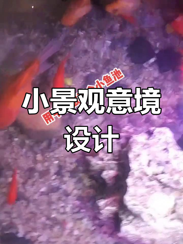 店内小院假山鱼池设计,鱼儿自由游动