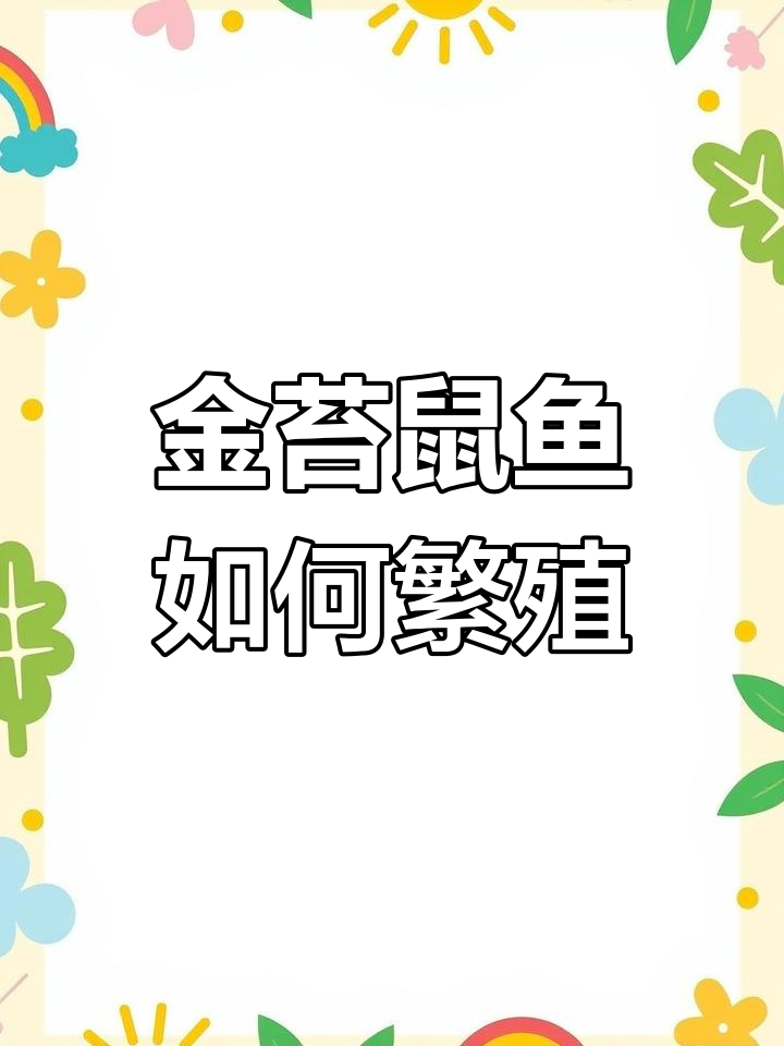 金苔鼠鱼的独特繁殖方式揭秘