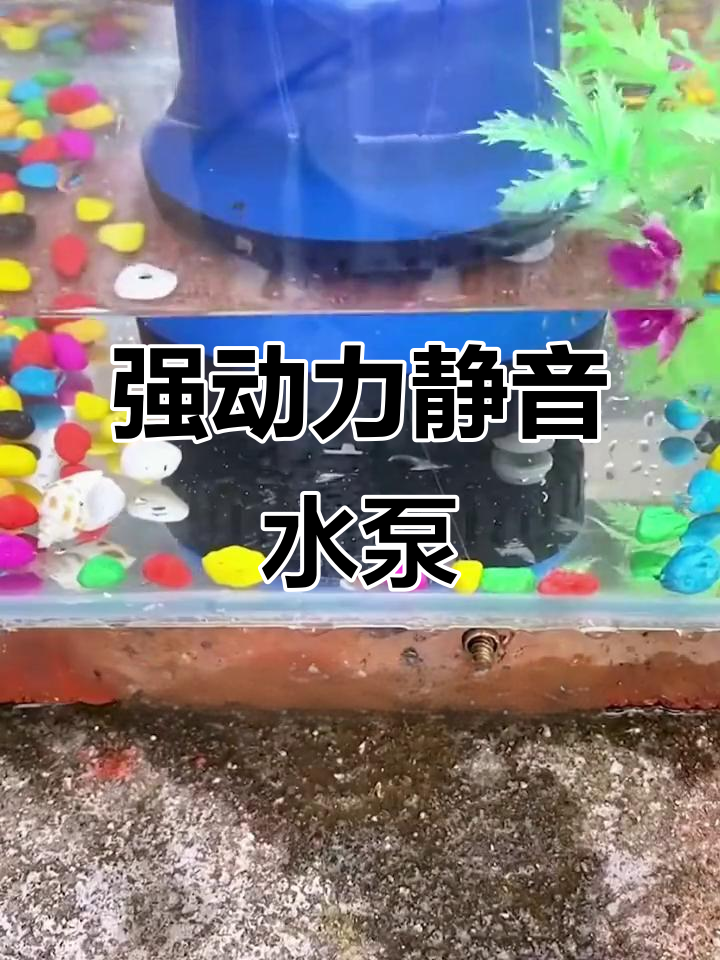 静音潜水泵,鱼缸抽水换水更轻松
