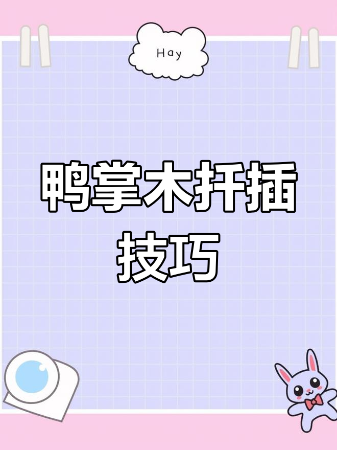 鸭掌木扦插秘诀,快速生根,成活率飙升!
