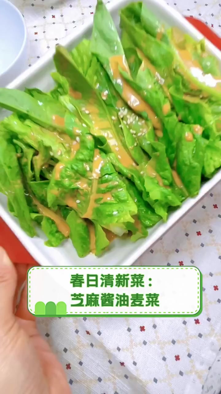 春日清新菜:芝麻酱油麦菜