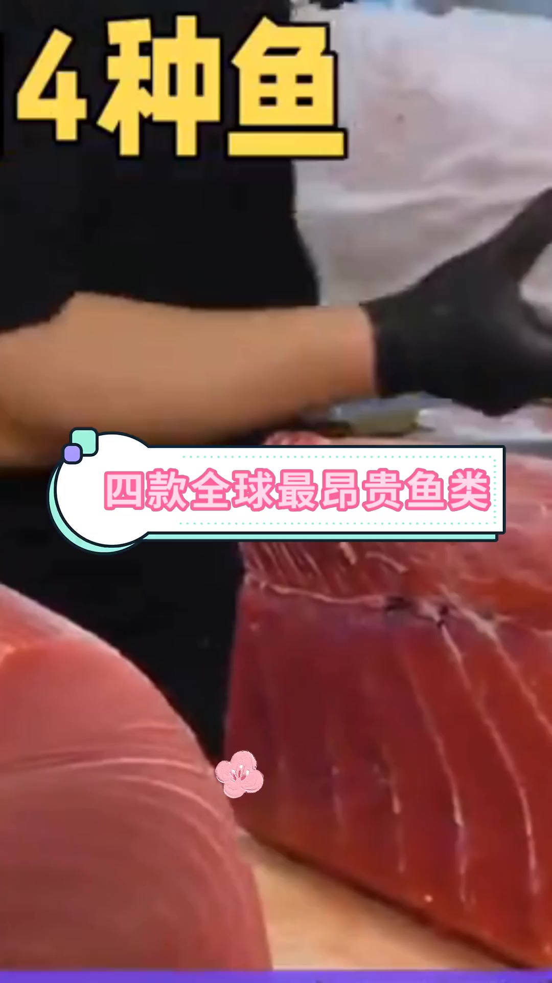 四款全球最昂贵鱼类