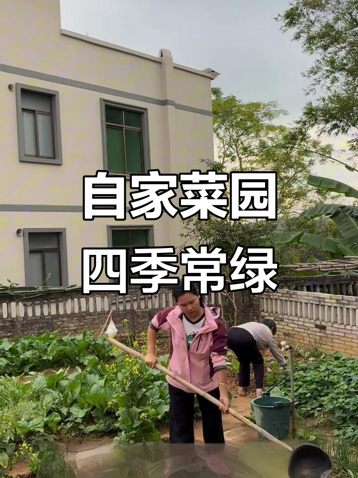 广东农村小菜园:自给自足的田园生活