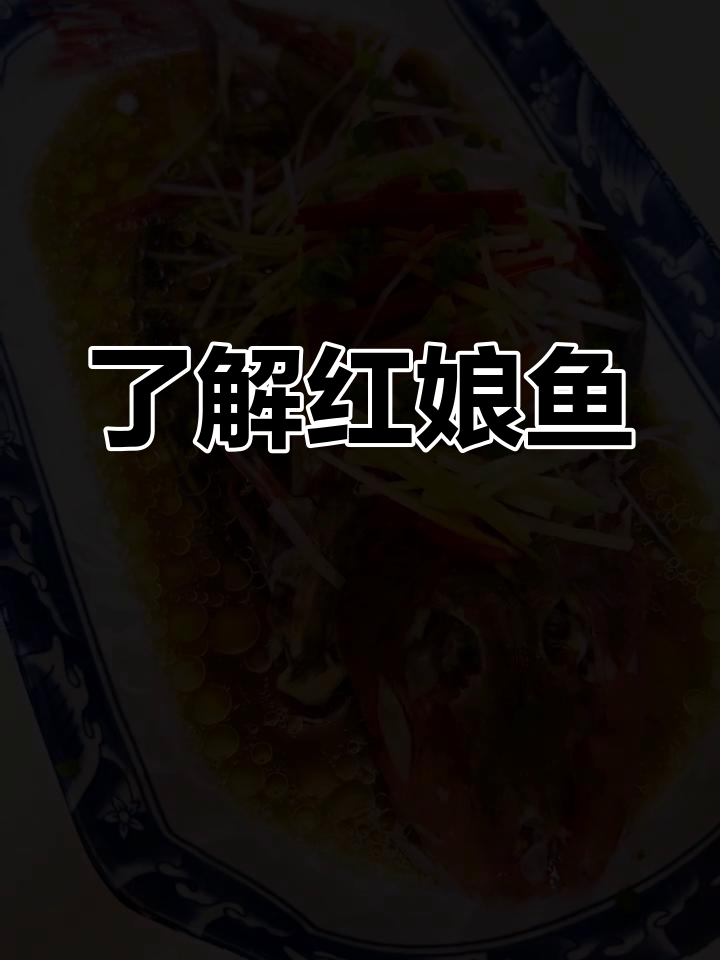 红娘鱼:鲉形目硬骨鱼类