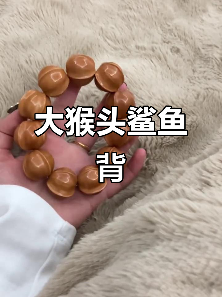 大猴头鲨鱼背的神秘魅力,豆风来袭
