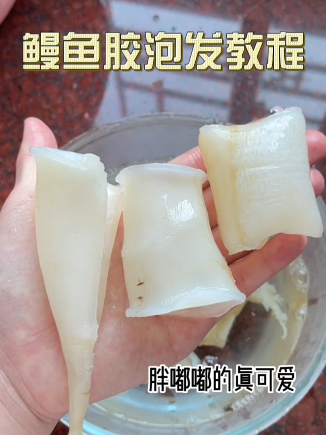 鳗鱼胶泡发