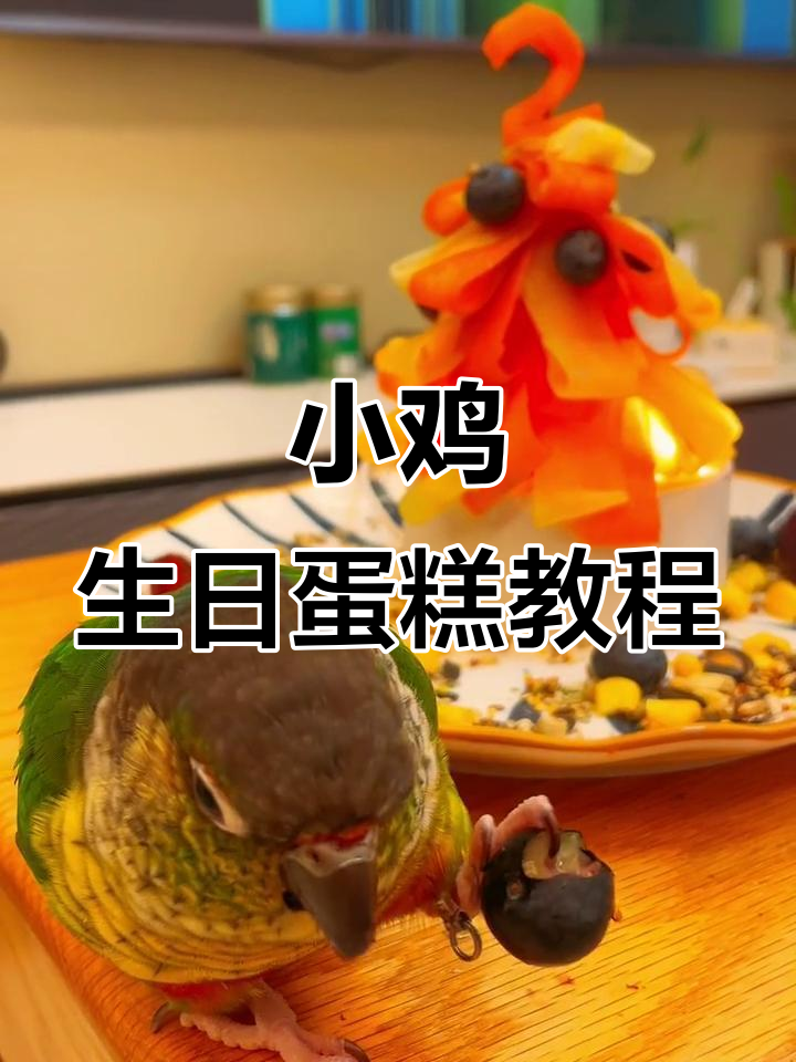 小鸡2岁生日蛋糕制作,详细步骤全解析