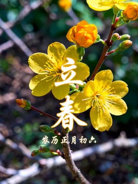 「AI绘节气丨春之所至 万象更新」一候东风解冻,二候蛰虫始振,三候鱼陟负冰,2月3日22点