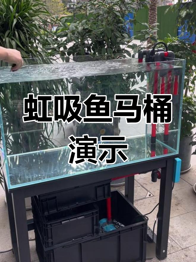鱼马桶功能全解析:如何高效分离鱼便,避免上浮