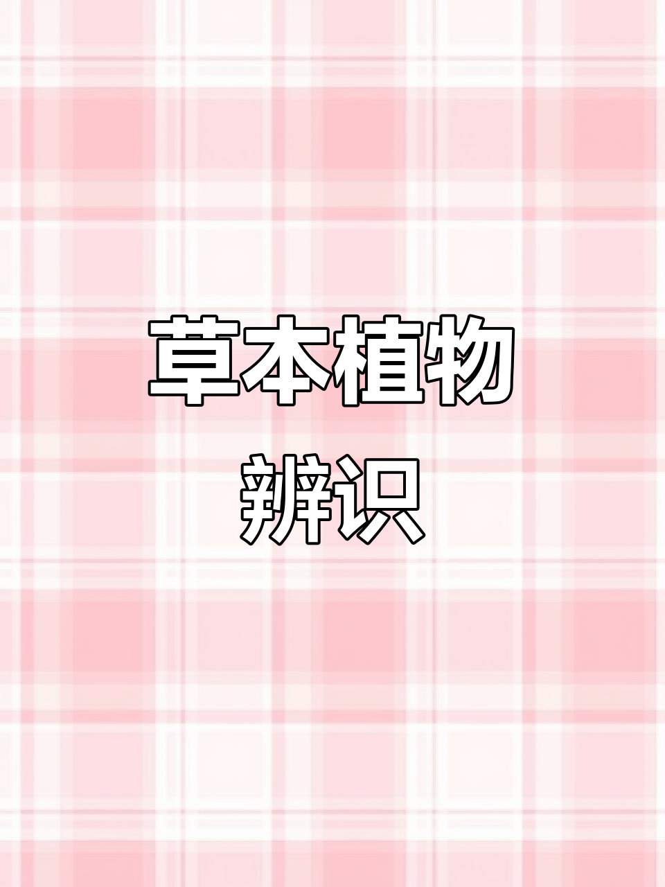 南非万寿菊到红花鹅掌,这些植物你认识吗?