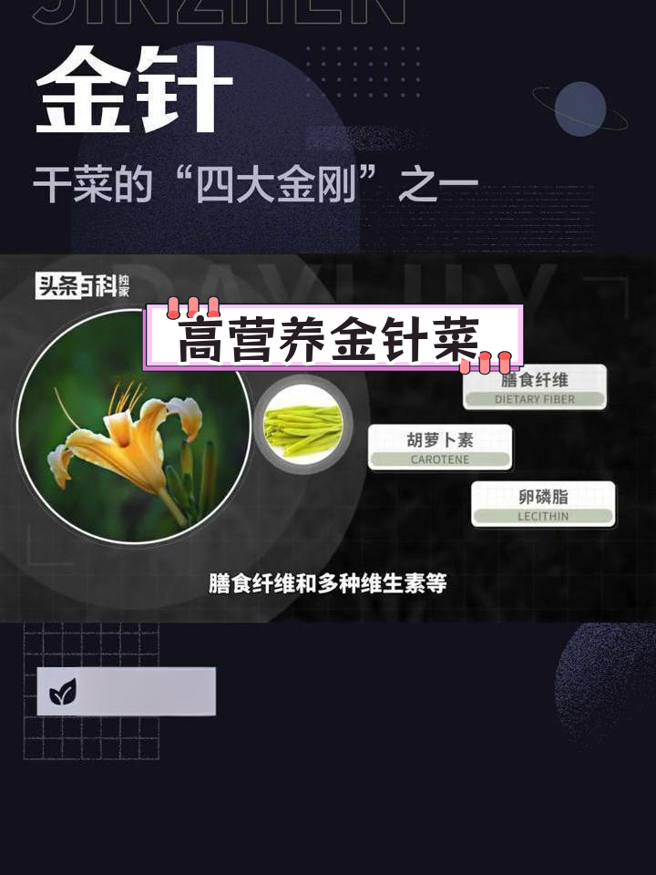 金针:百合科植物的营养与药用价值