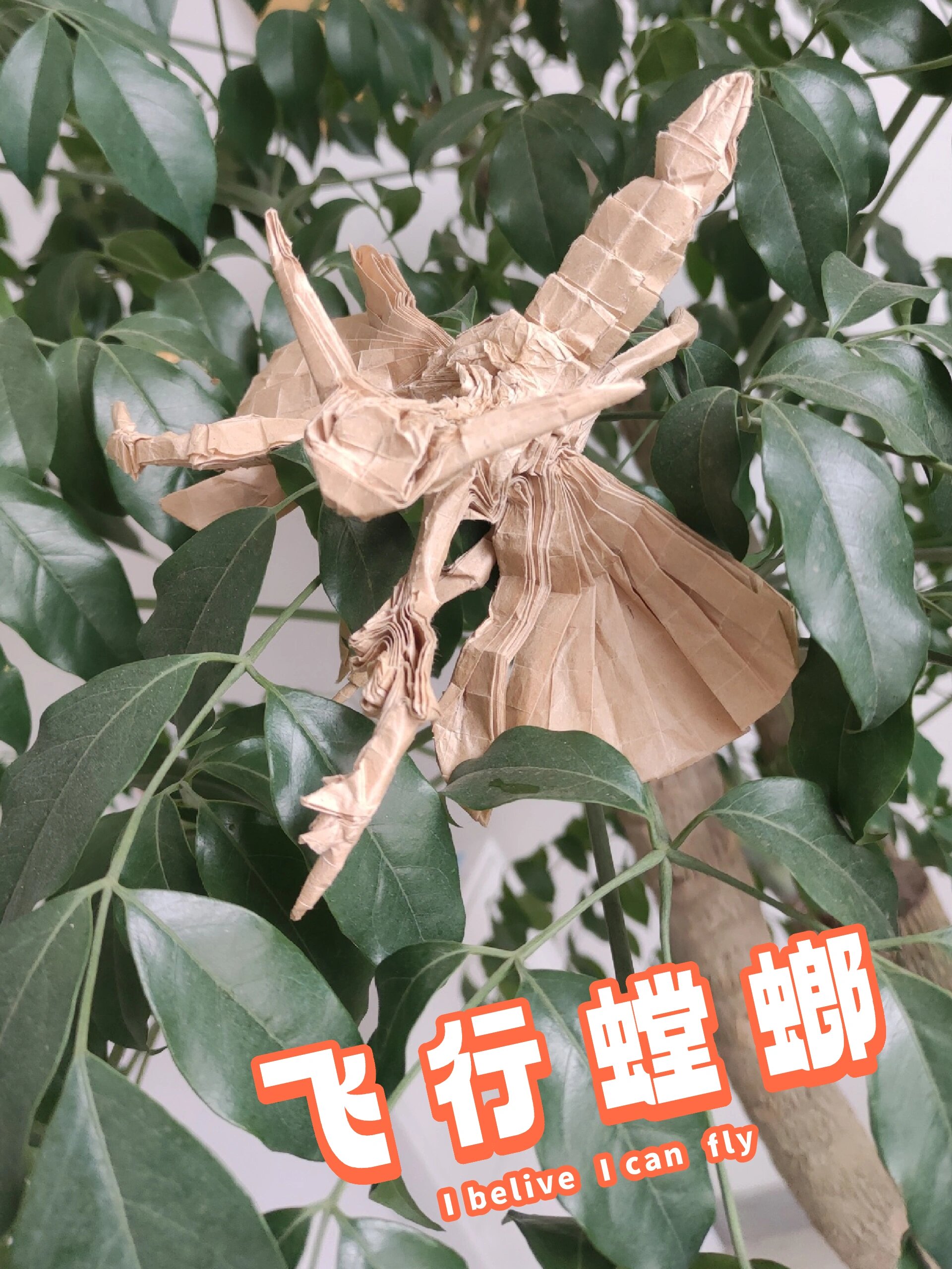 高难度折纸——飞行螳螂