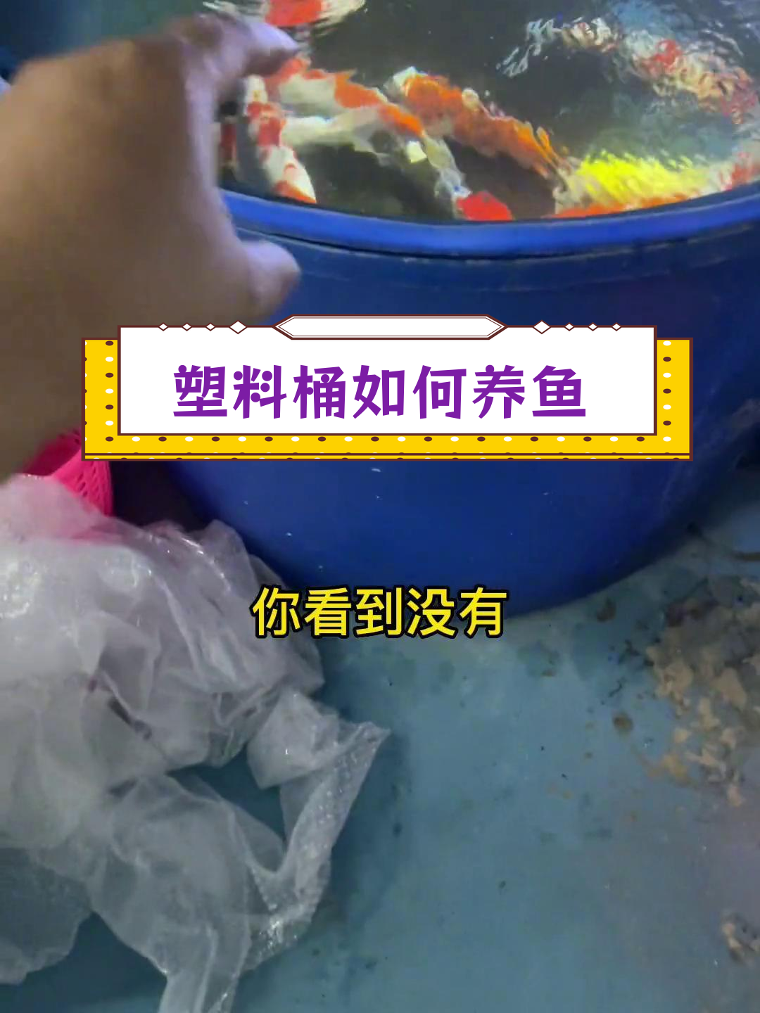 塑料桶也能养鱼,轻松打造清澈水族环境