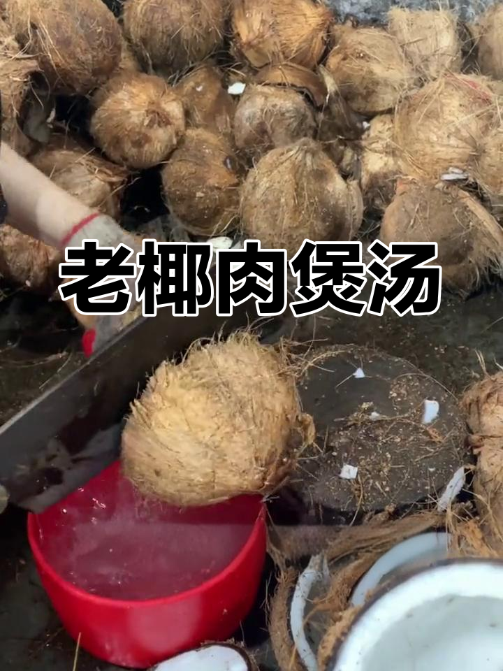 海南老椰子炖汤,鲜美又营养!