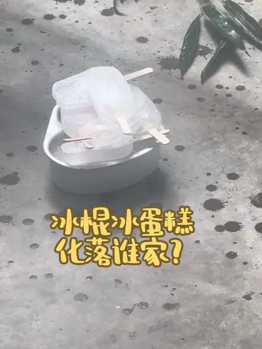0703这一盆的冰棍冰蛋糕,看孩子们谁吃了?大熊猫福多多金宵轮辉雅颂 来这吸熊猫 不止我一
