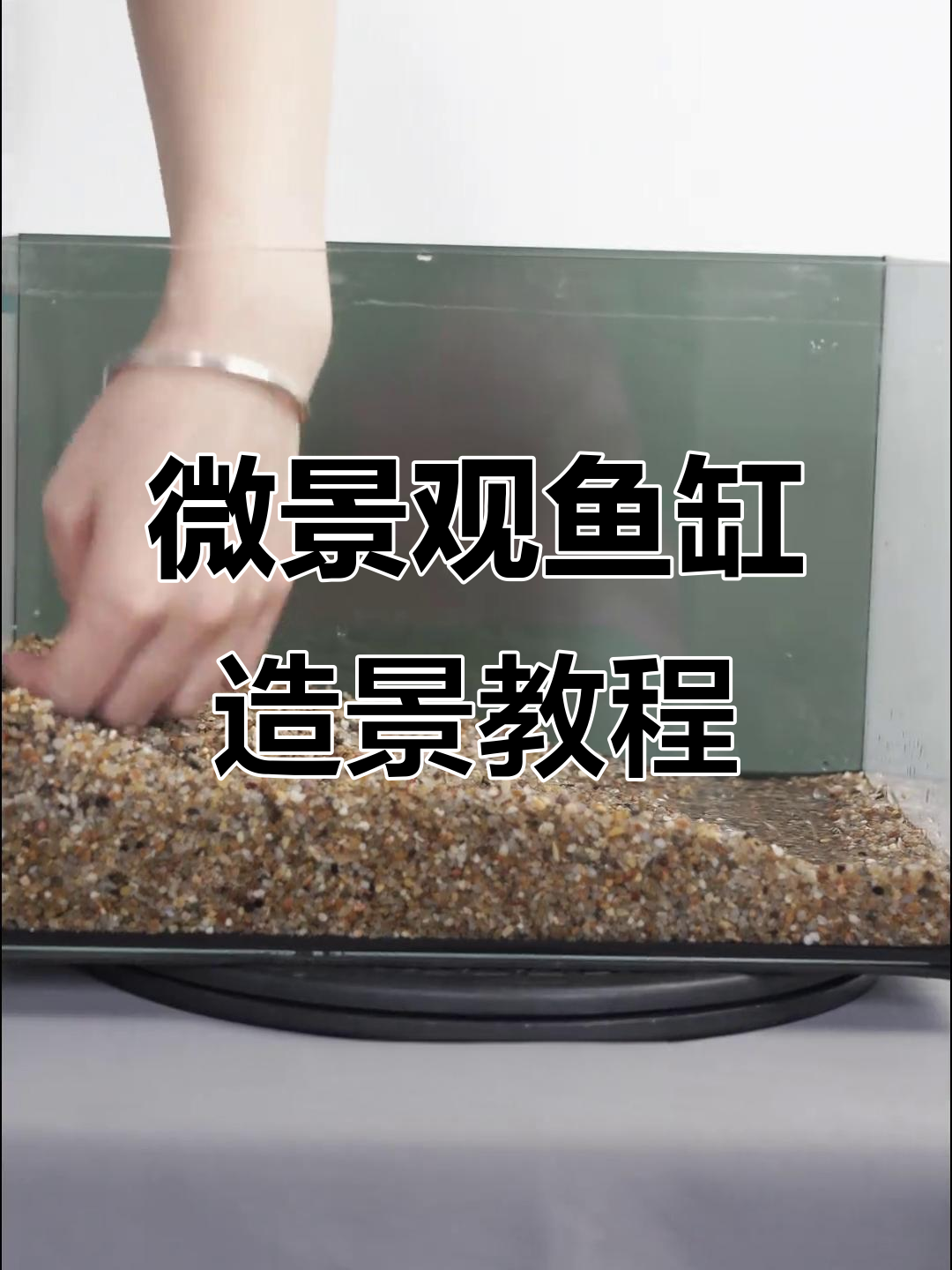 超白鱼缸开缸全攻略，轻松打造溪流生态景观