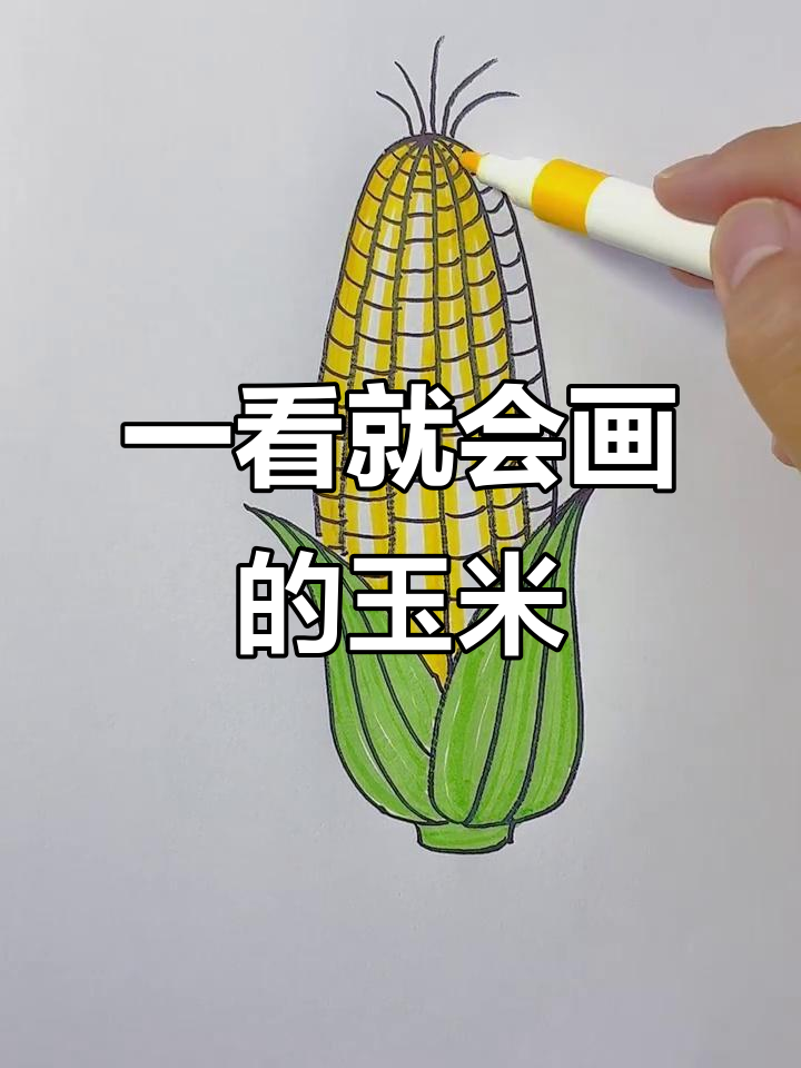 简单又有趣的玉米简笔画，轻松学会画大玉米