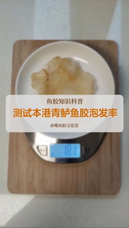 测试本港青鲈鱼胶泡发率!
