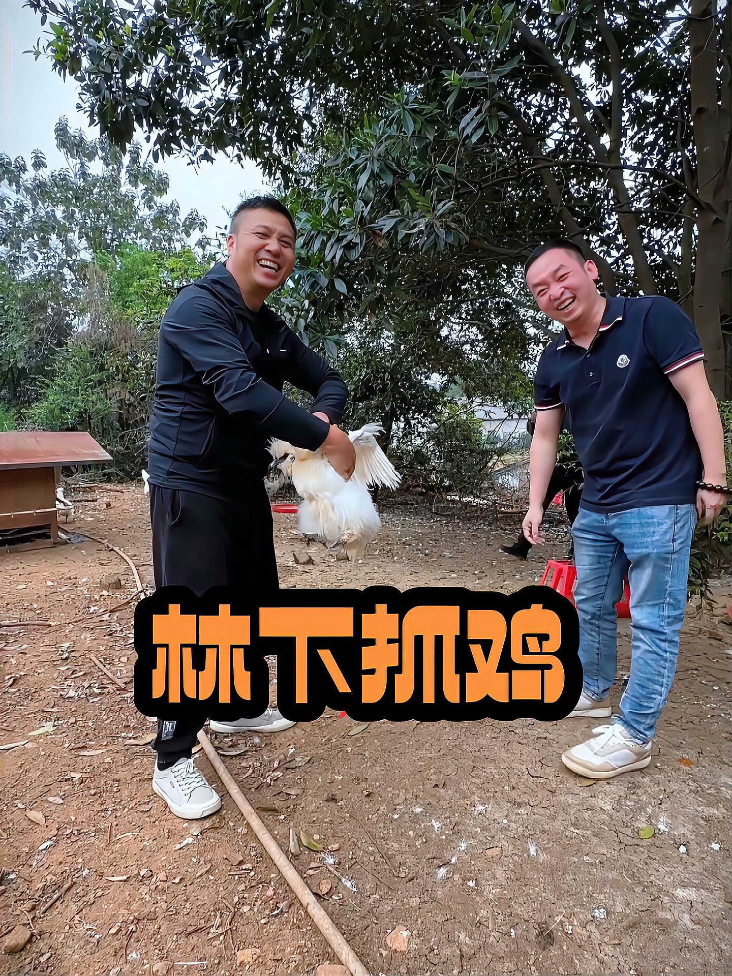 泰和街头走一走,乌鸡美食哪都有,林下白凤真舒心,一只不过两三斤……江西吉安特产 泰和乌鸡节