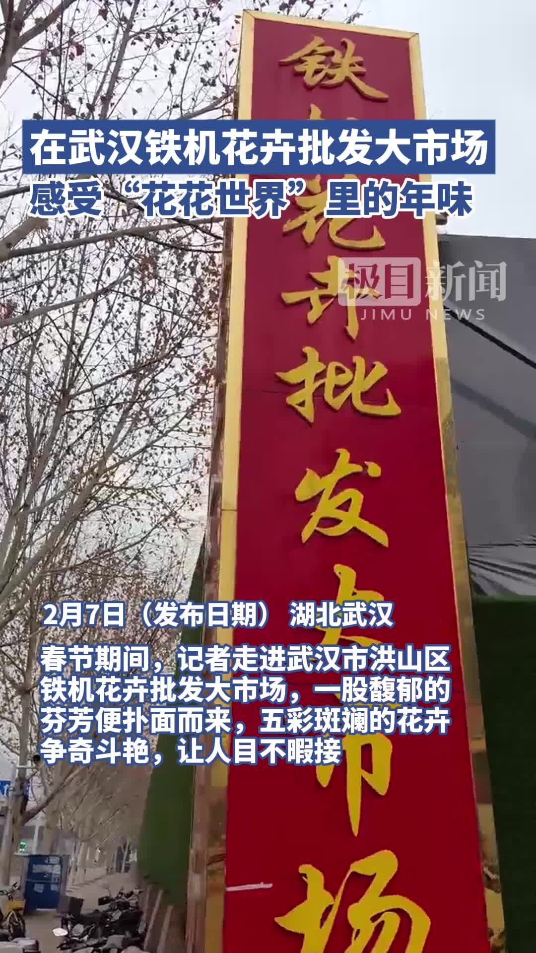 「视频」在武汉铁机花卉批发大市场,感受“花花世界”里的年味