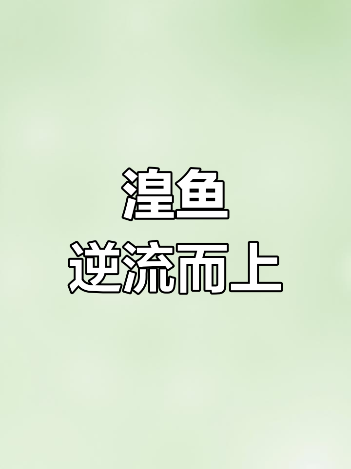 湟鱼产卵时,河水一半清澈,一半鱼儿涌动,景象震撼!