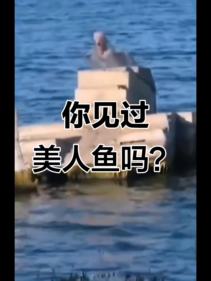 疑似美人鱼现身,视频真相揭秘