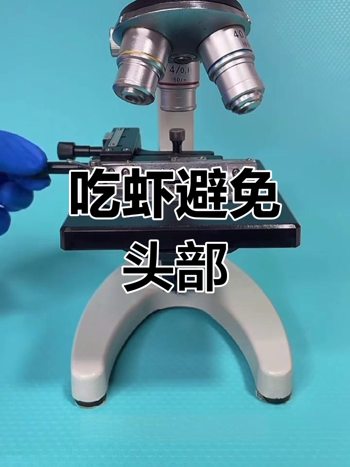 虾头煮熟后仍有寄生虫,吃多了有害健康