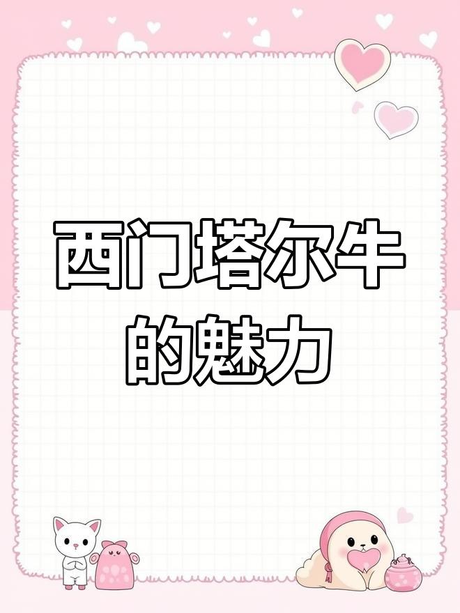 中国西门塔尔牛:强壮、美丽,六白特征明显