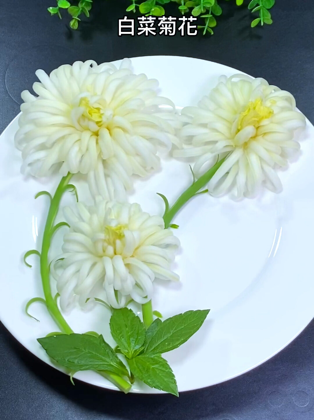 白菜菊花